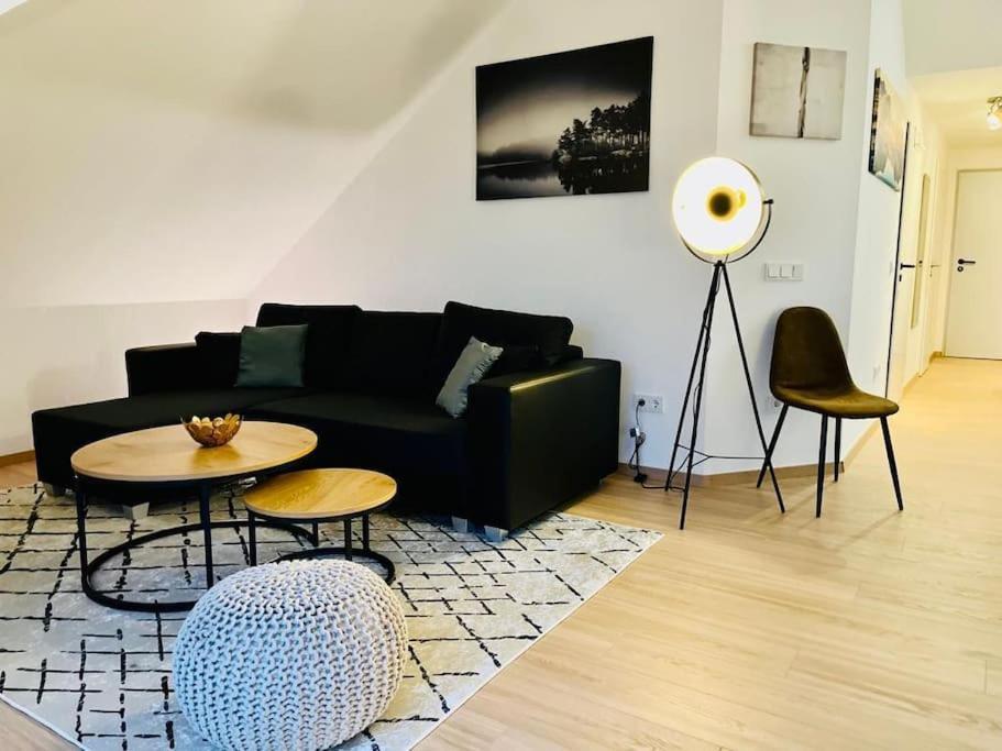 Ein Blick Uber Das Elbtal ドレスデン エクステリア 写真